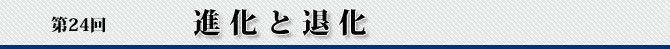 第24回 進化と退化